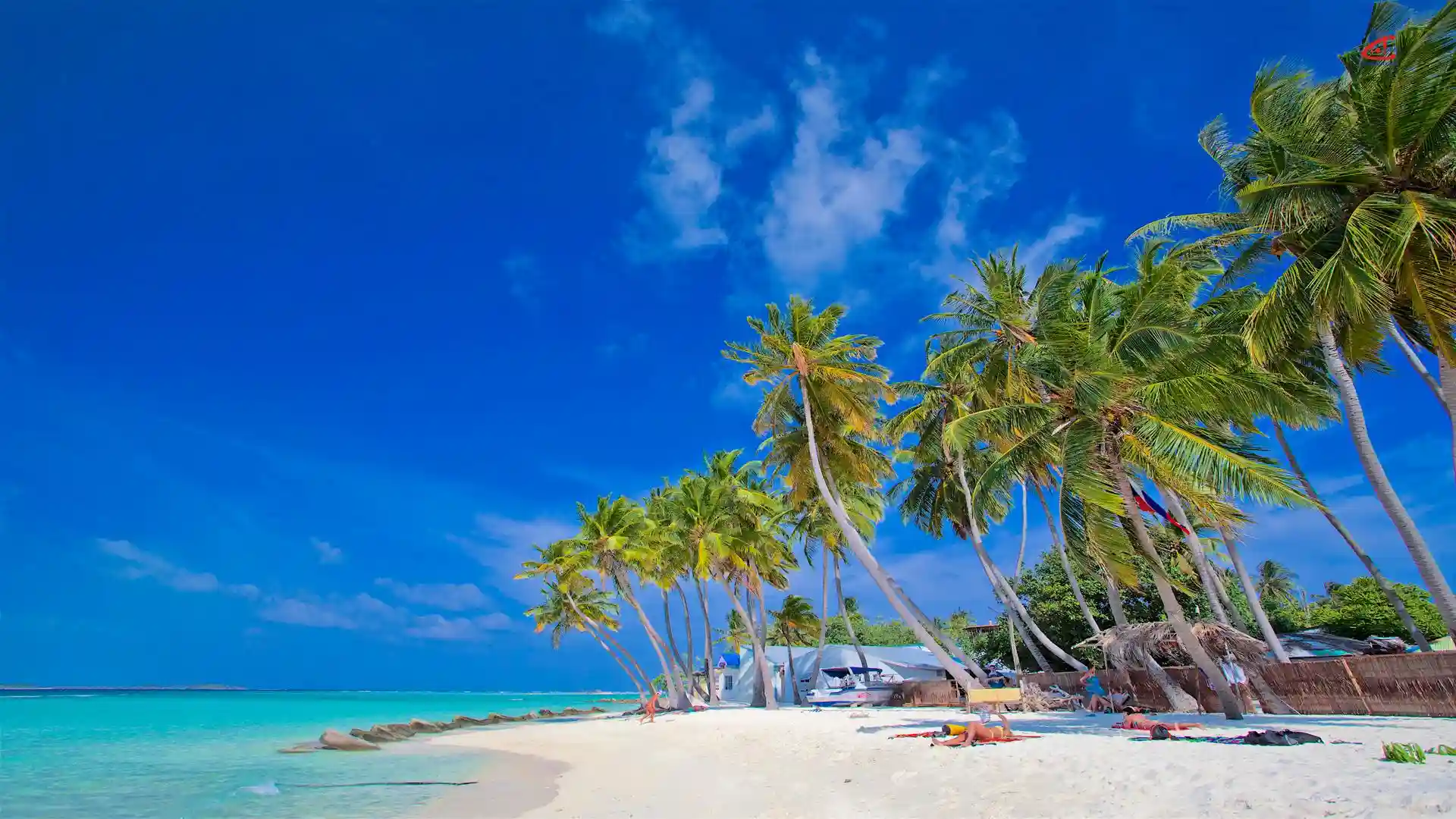 Maldives on a Budget: Complete 2024 Guide to Affordable Travel