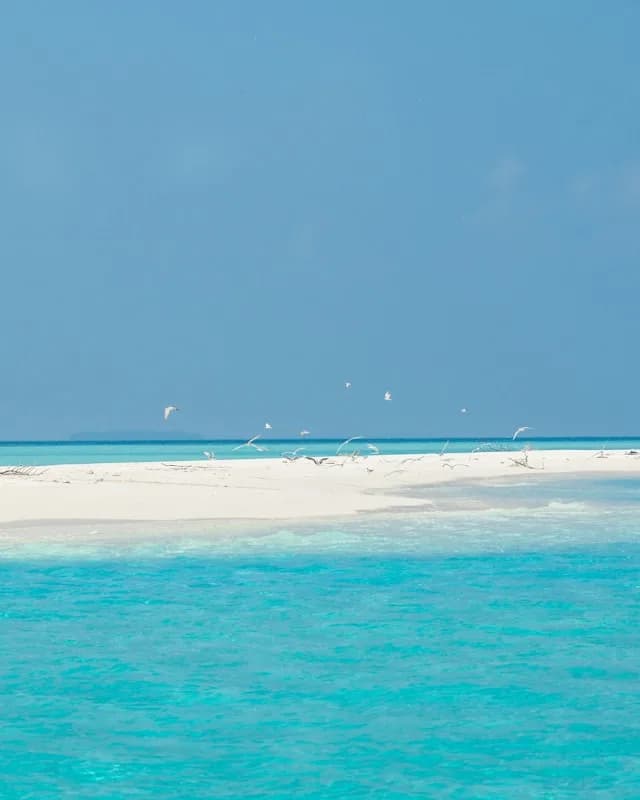 maldives sandbank