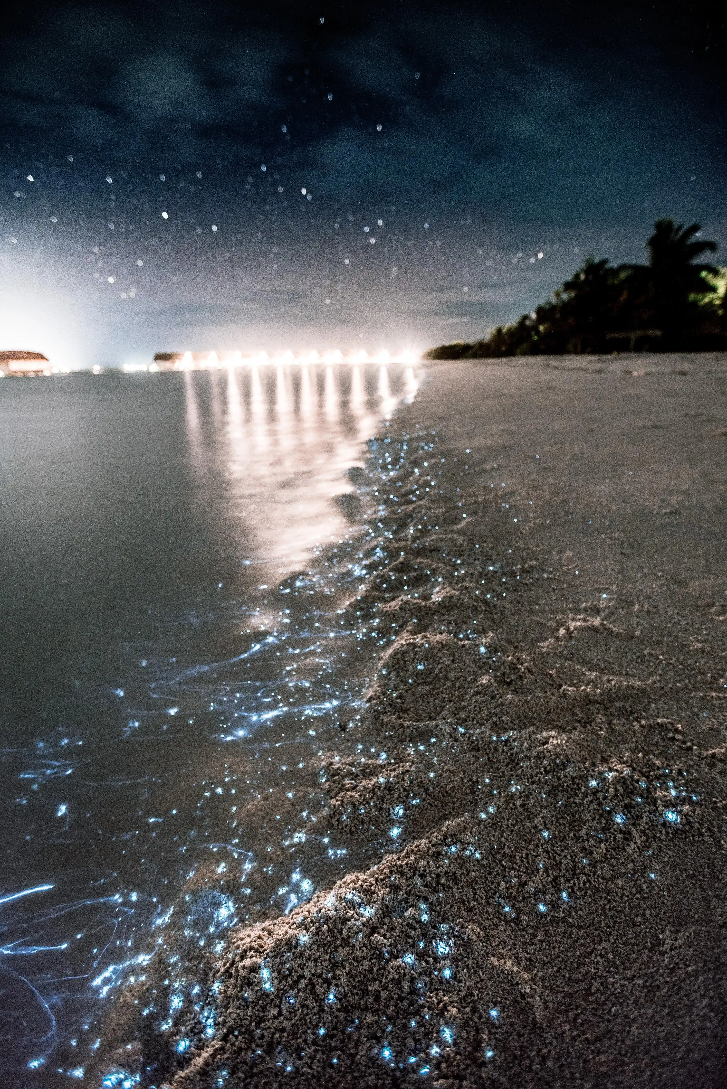 bioluminescent beach maldives
