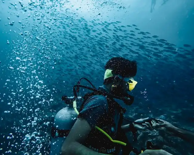 South Male Atoll Kandooma Thila Maldives