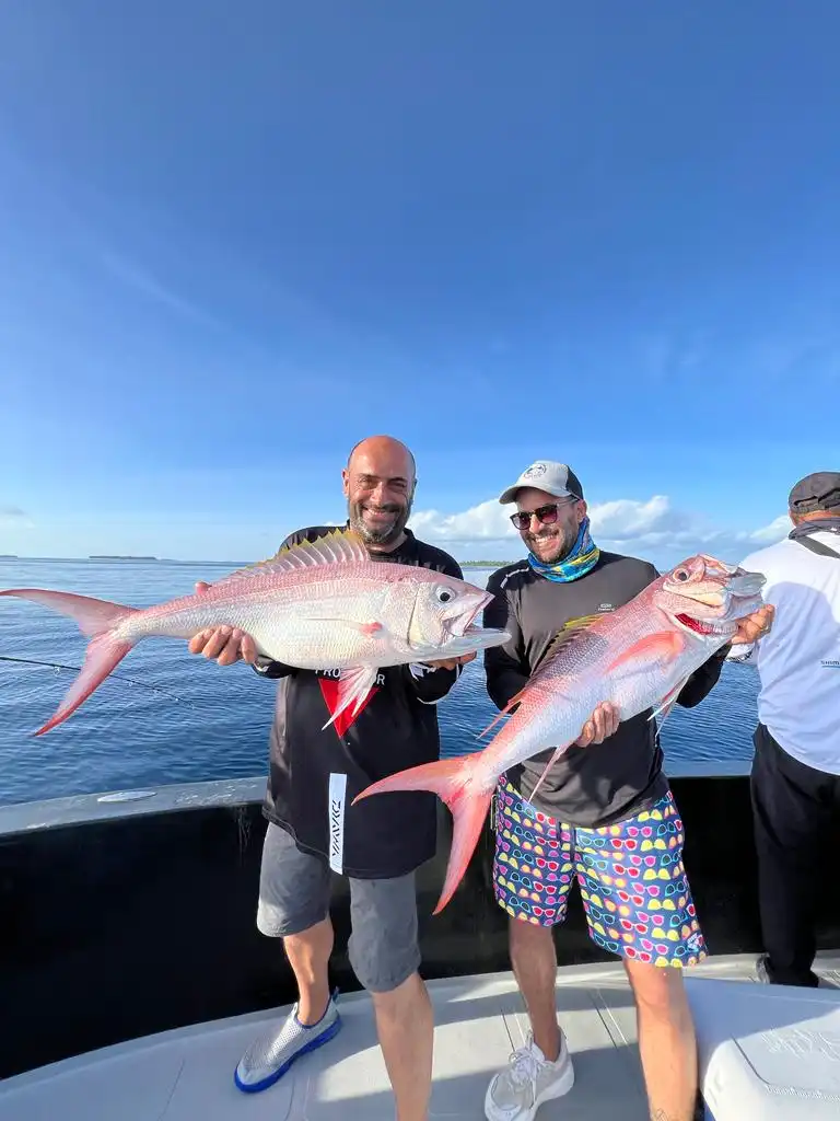 Angling fishing in maldives