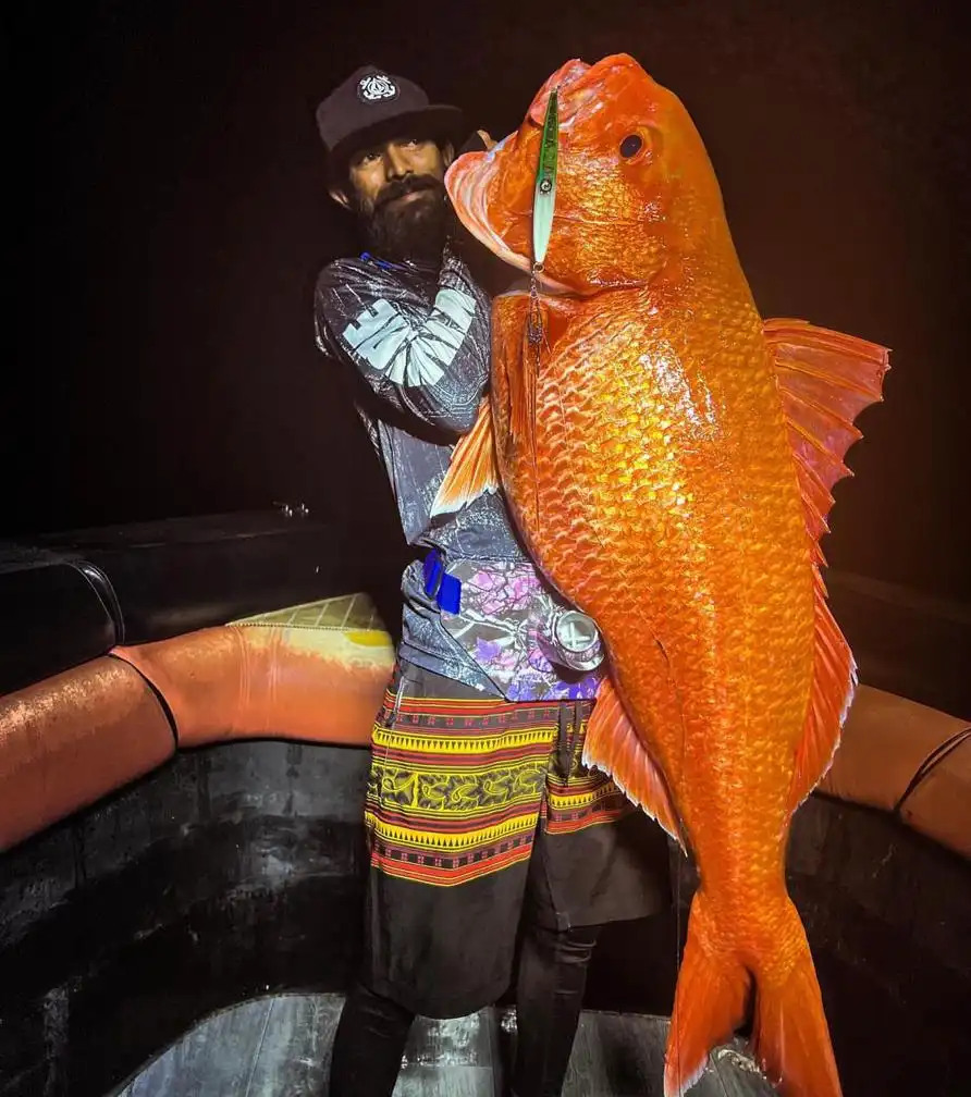 Bottom fishing in maldives