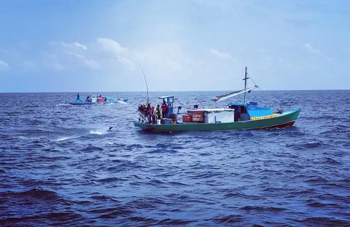 maldives traditional fishing dhoani