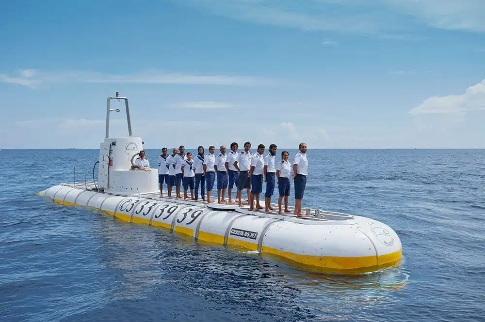 whale submarine dive