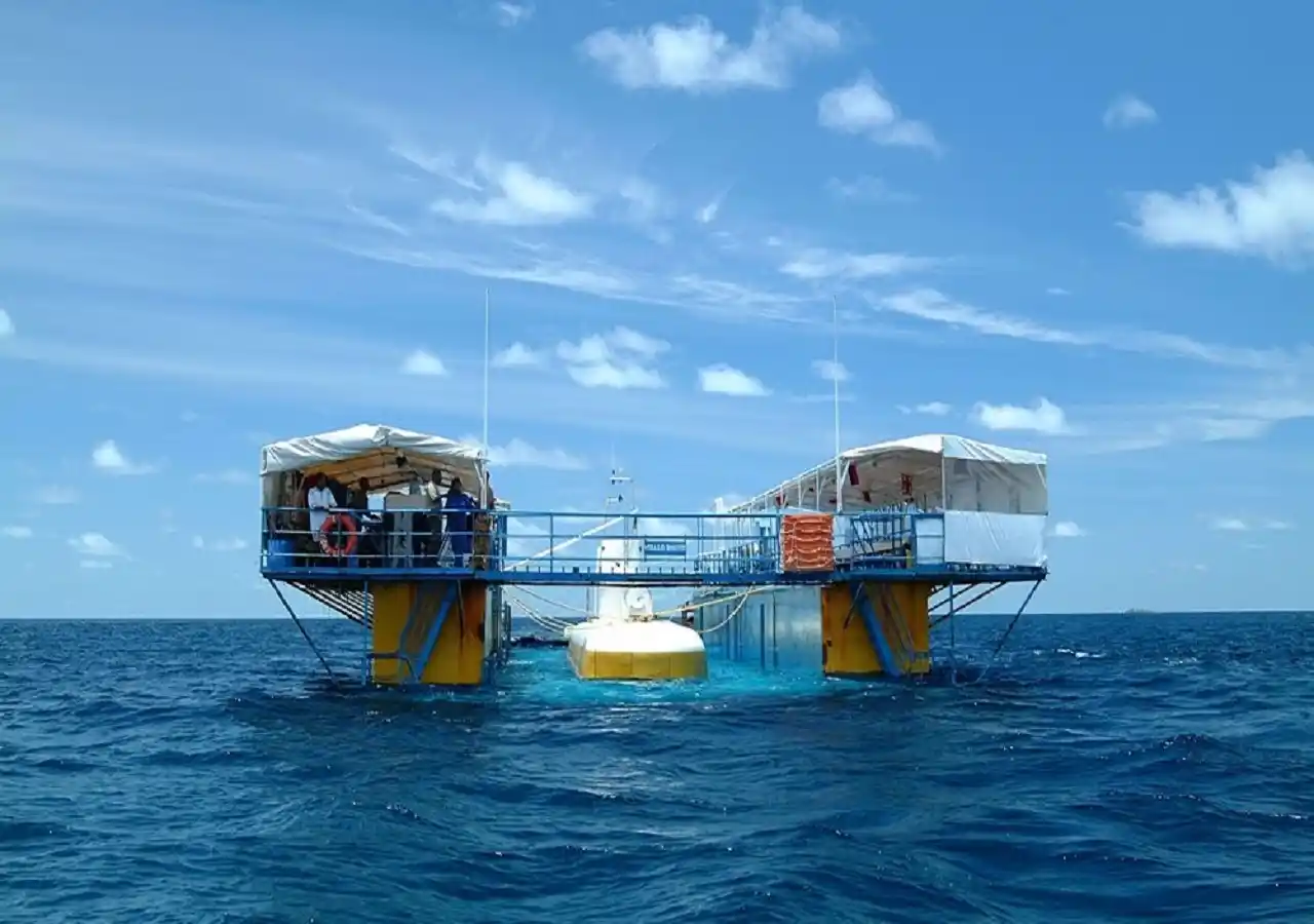 whale submarine maldives