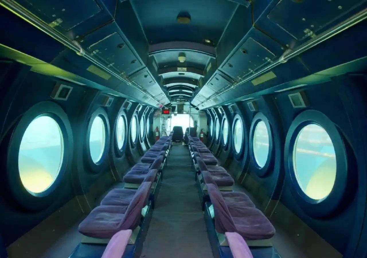 whale submarine