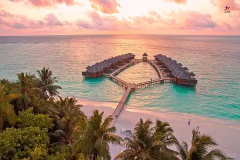 fihalhohi island maldives resort