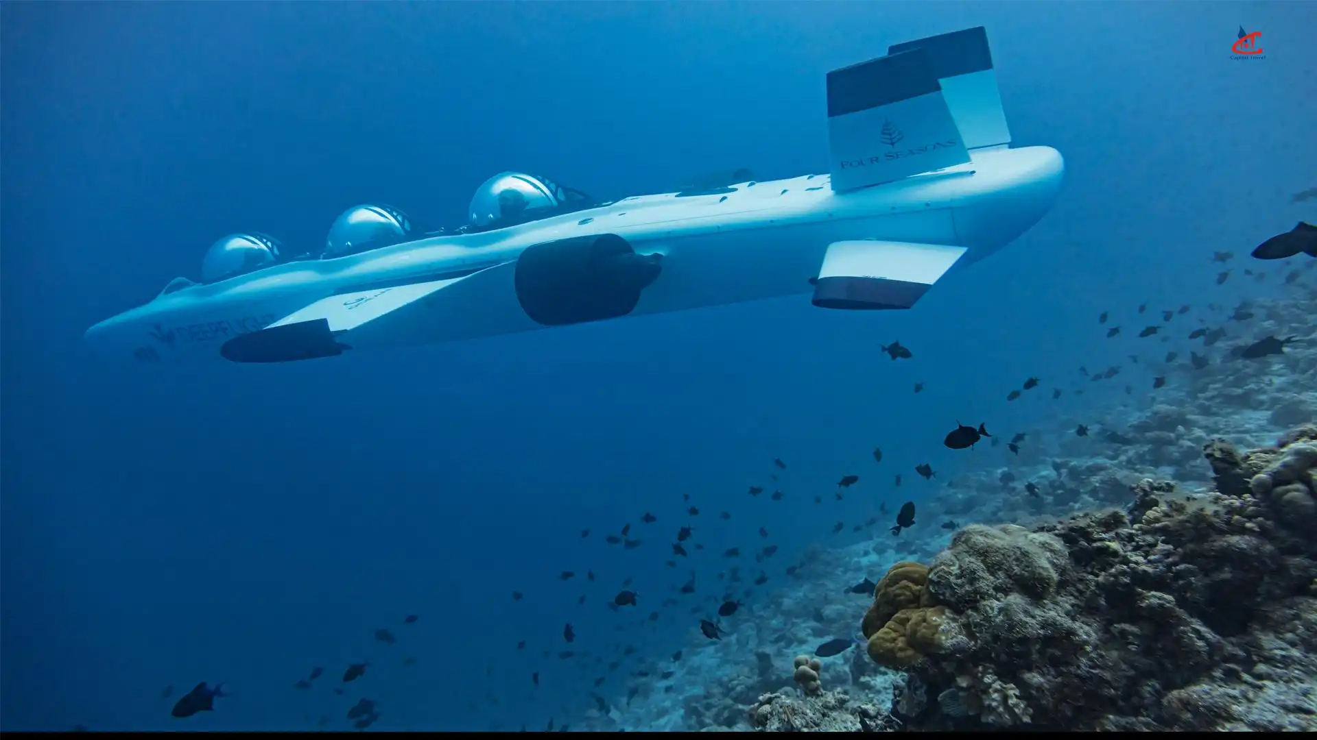 Four Seasons Resort Maldives at Landaa Giraavaru Diving