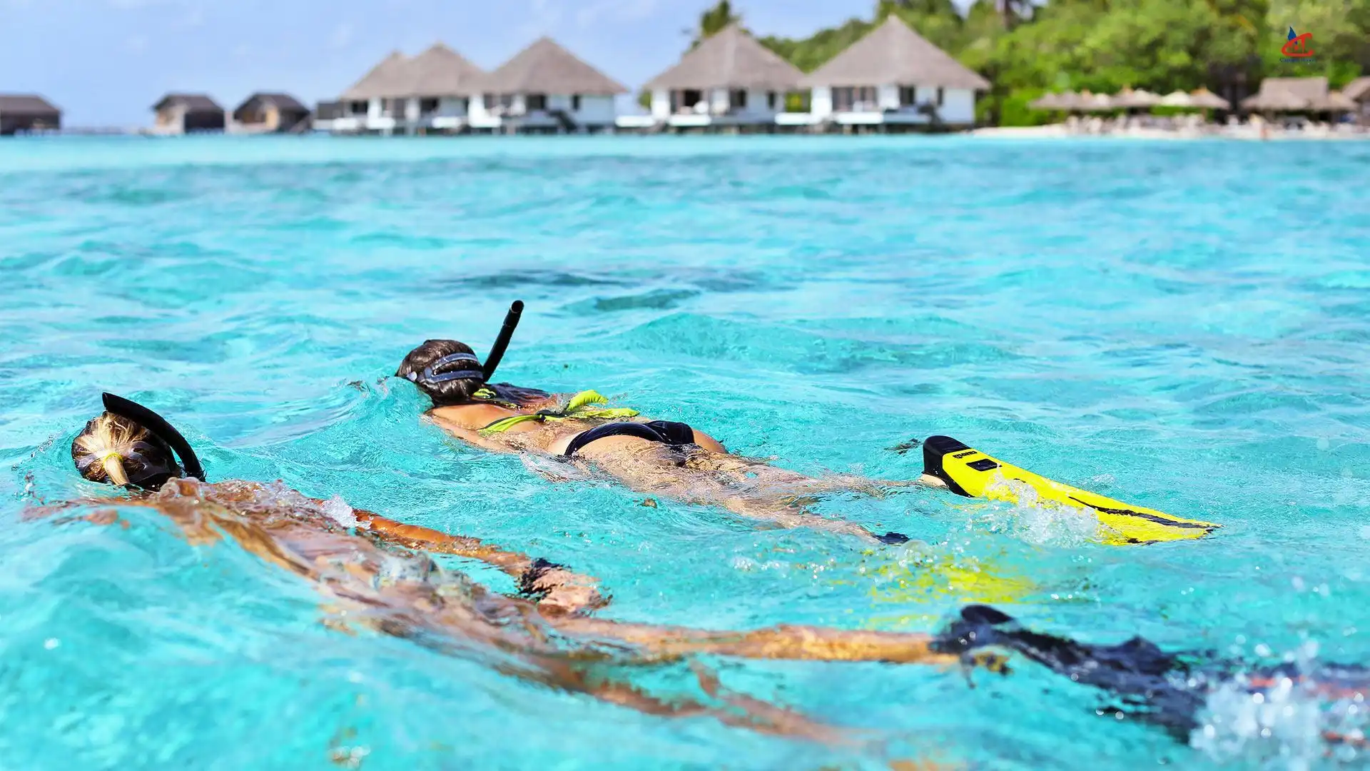 Gangehi Island Resort Snorkeling