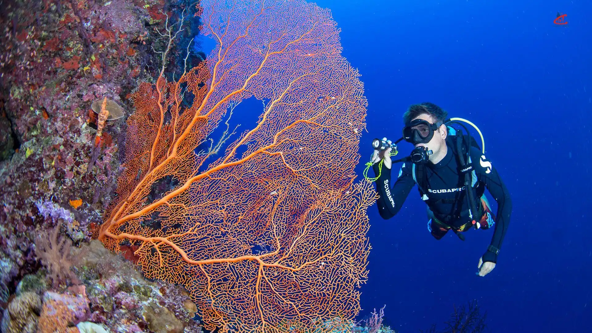 Grand Park Kodhipparu Maldives Diving