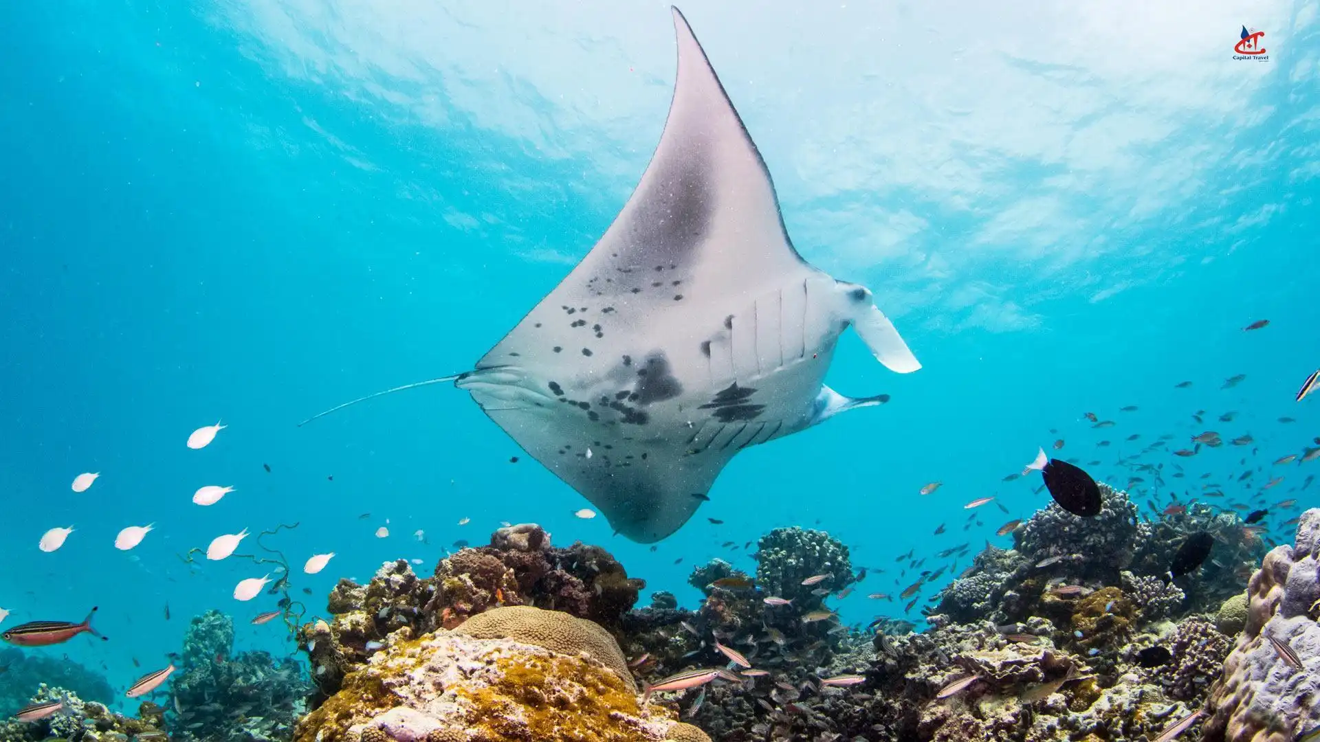 InterContinental Maldives Maamunagau Resort Diving