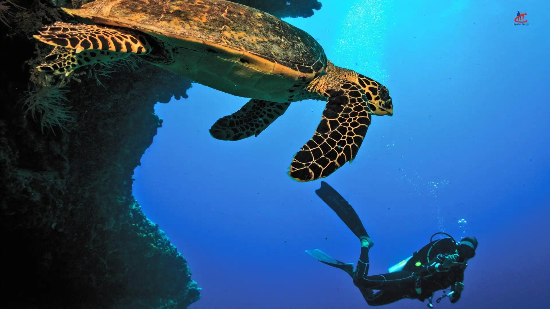 OBLU SELECT Sangeli Maldives Diving