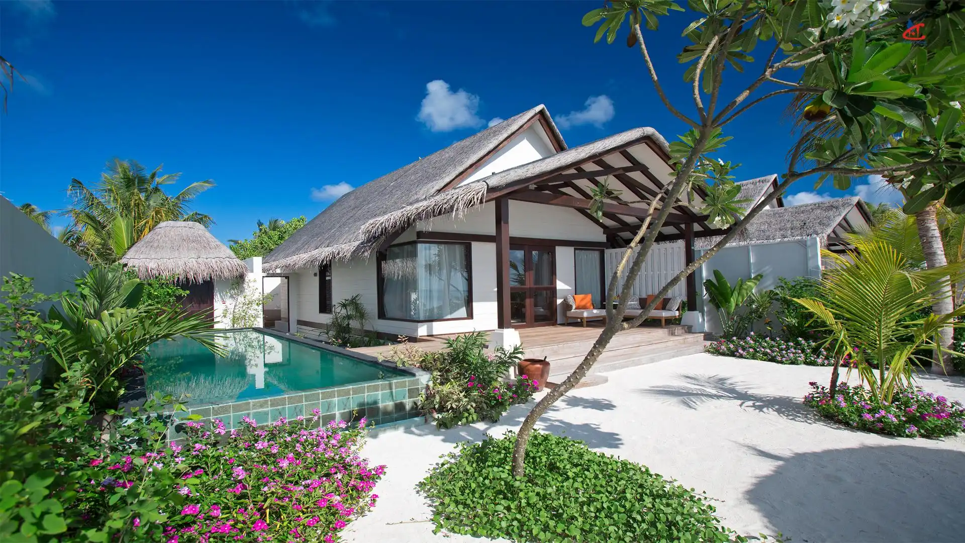 OZEN LIFE MAADHOO Maldives Earth Villa Pool
