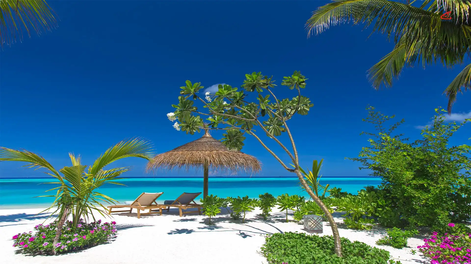 OZEN LIFE MAADHOO Maldives Earth Villa