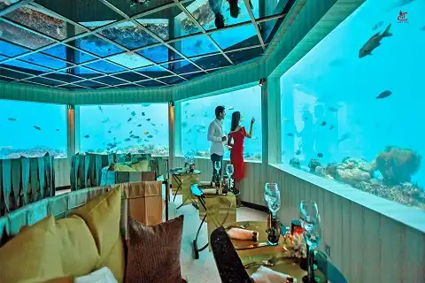 OZEN LIFE MAADHOO Maldives Under Water Restaurant South Male Atoll