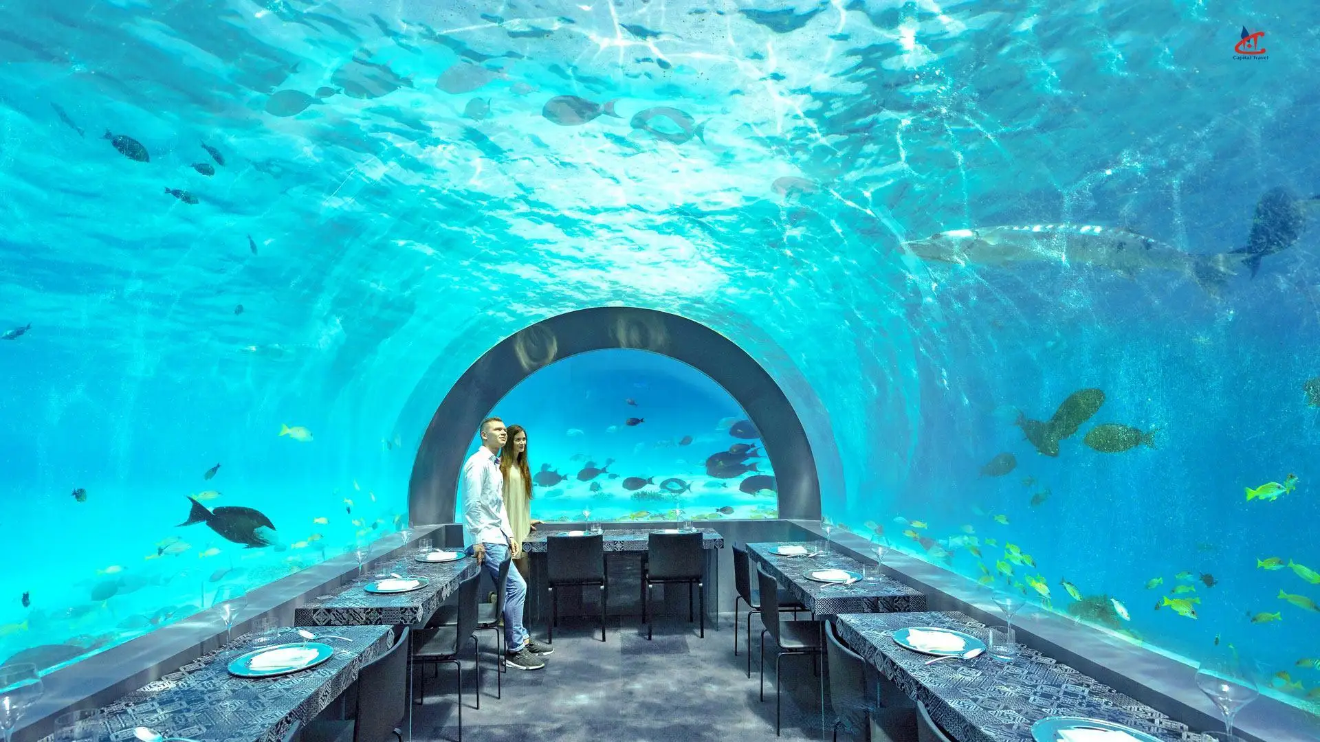 You and Me by Cocoon Maldives Underwater Restaurant
