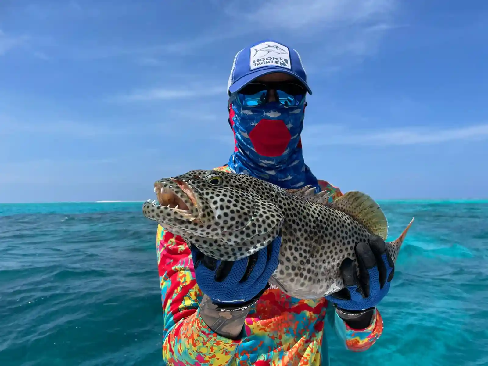 island spirit ari - Maldives fishing