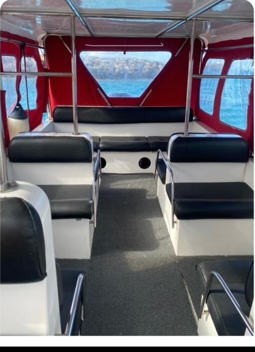 chill speed rear interior