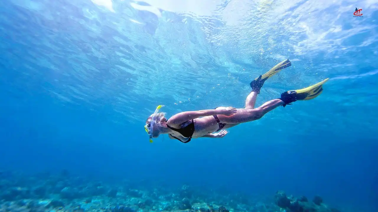 Maldives coral Reefs