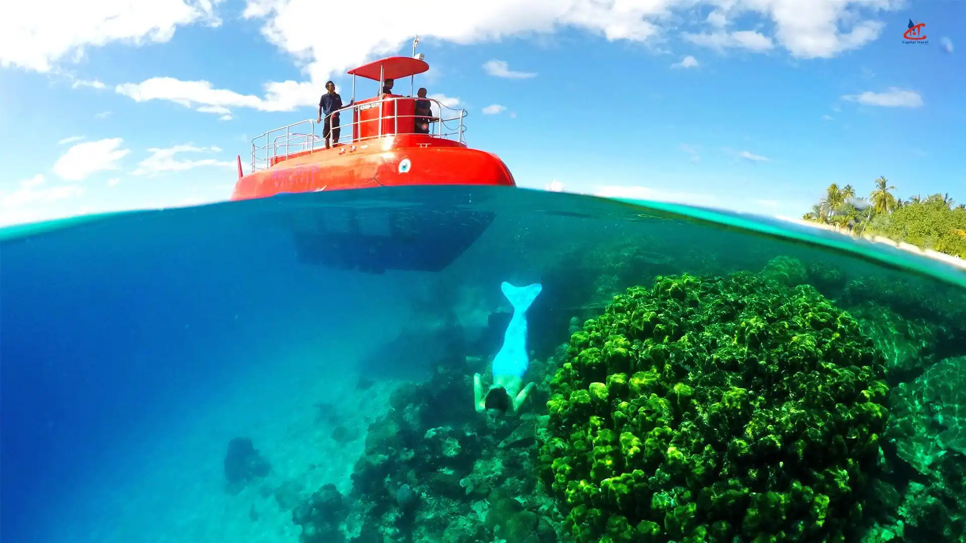 Glass-Bottom Boat Rider