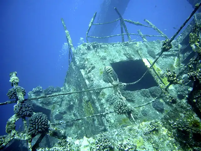 Visit the Maldives Victory Wreck