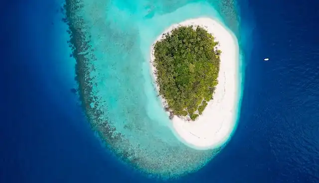 Explore a Deserted Island