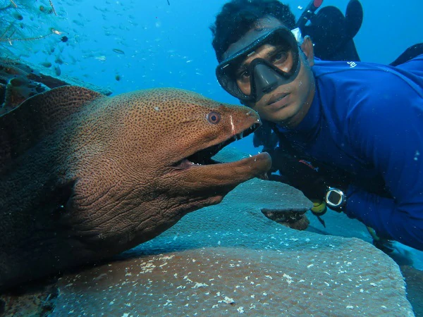 Diver exploring coral reef in Maldives