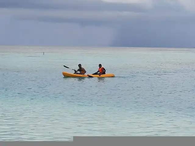 Kayak Through Mangroves