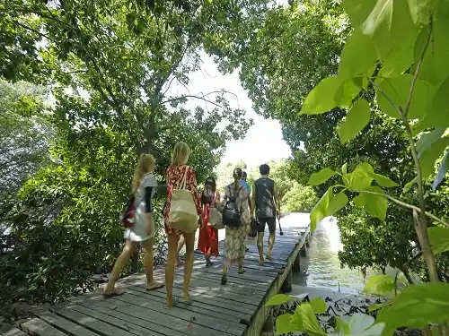 Traditional Maldivian Village