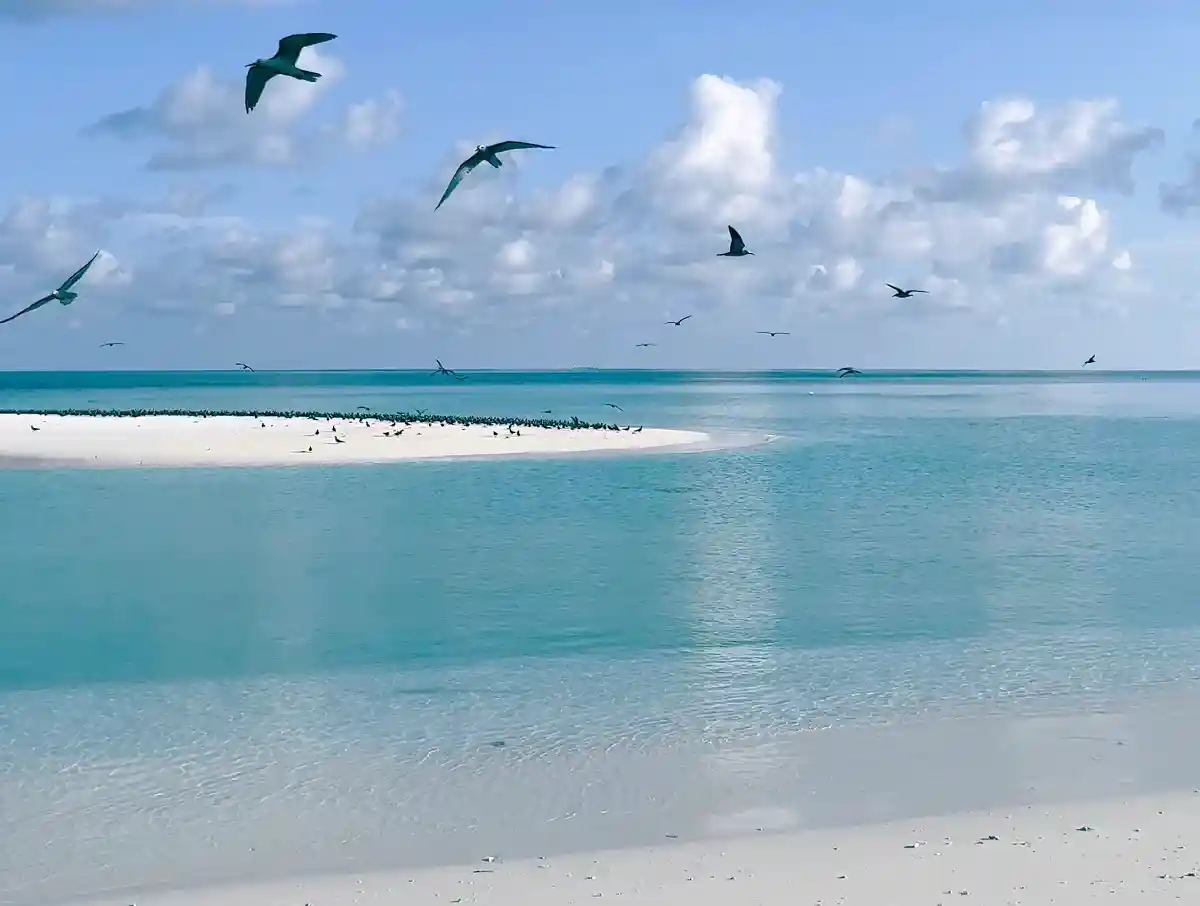 maldives-sandbank-tour