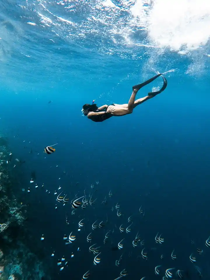 snorkeling-in-maldives