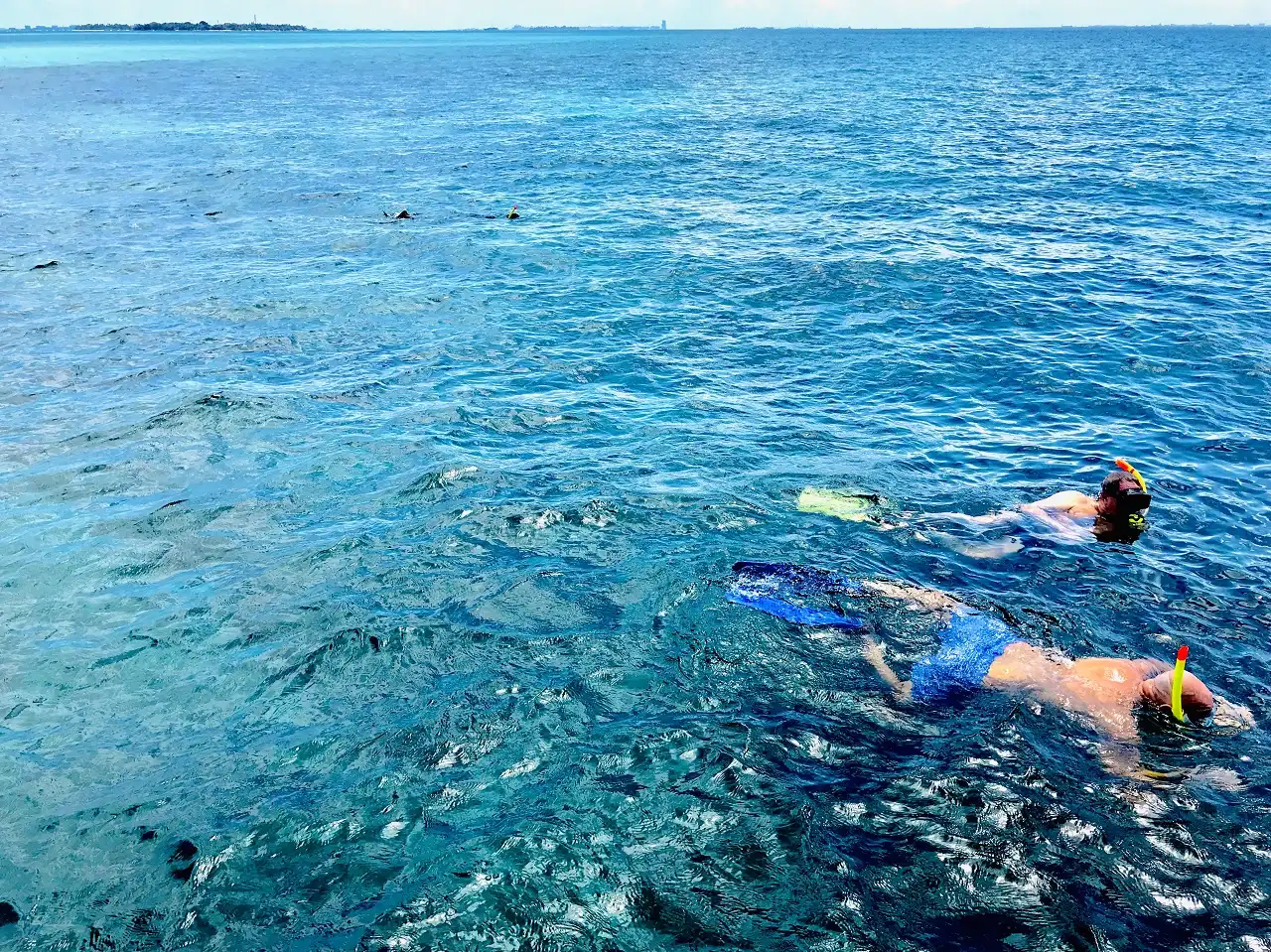 reef-snorkeling-in-maldives