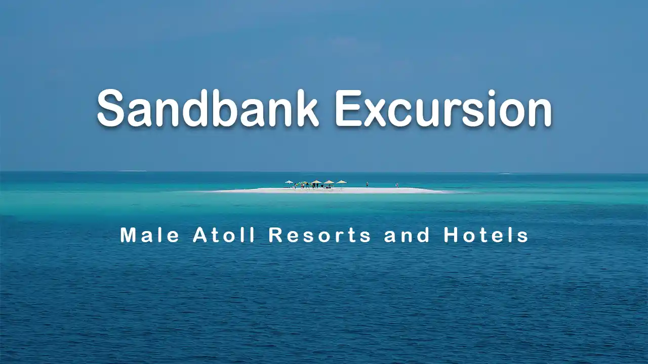 maldives-sandbank