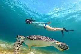 snorkeling in maldives