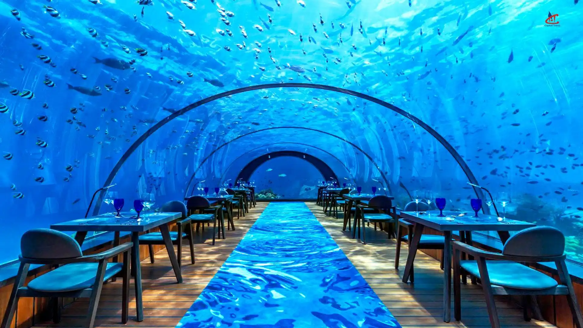Adults-only underwater restaurant Underwater dining in Maldives