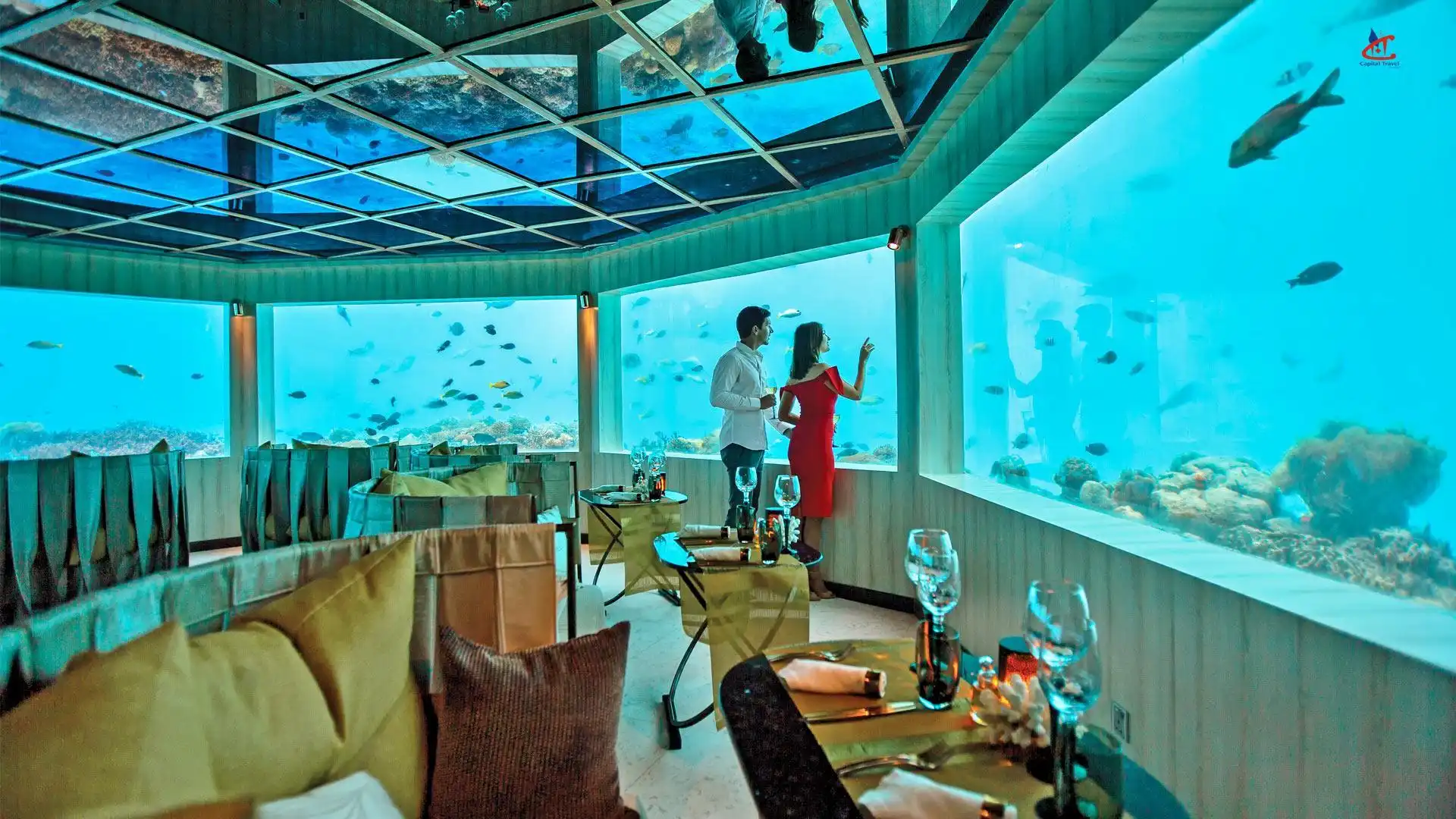 Dine at an Underwater Restaurant