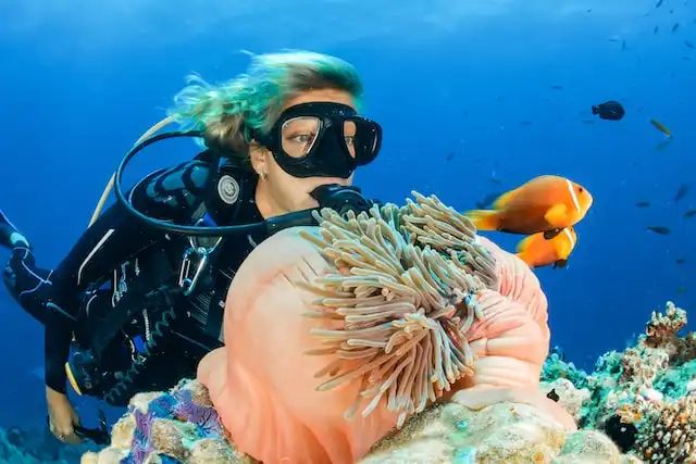 Embudu Canyon Kaafu Atoll