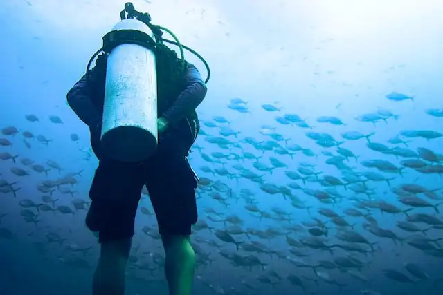 The Patina Maldives Fari Islan Diving