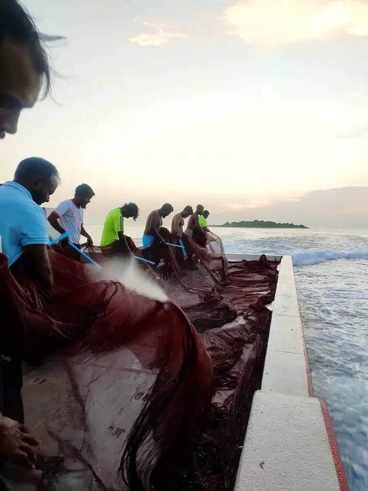 Bait Fishing Maldives