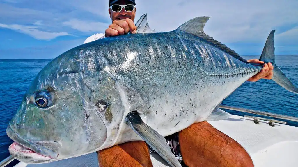 maldives Fishing