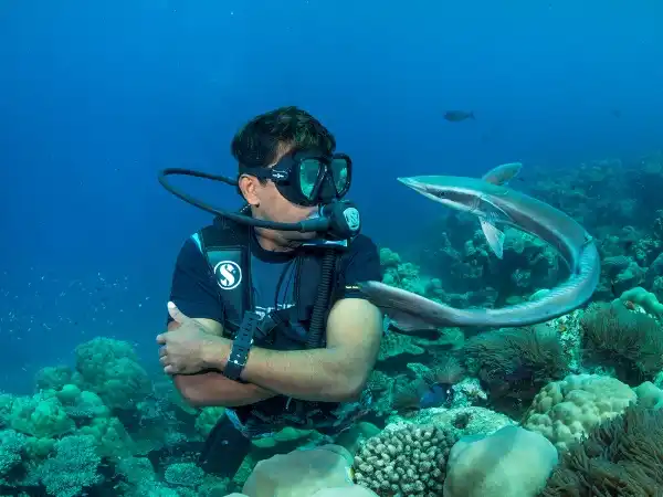 Maldives scuba diving