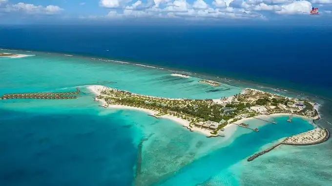 Kuda Villingili – Chickens Kuda Villingili – Chickens