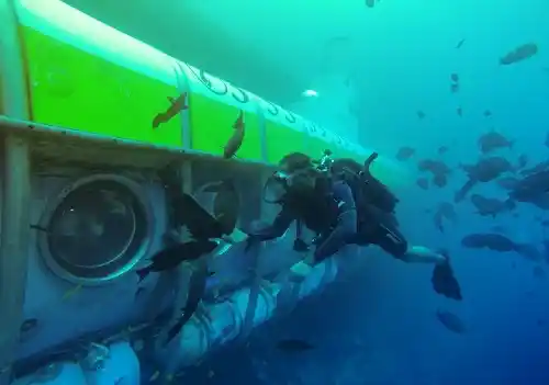Maldives whale submarine
