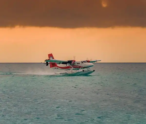 take a Seaplane Tour