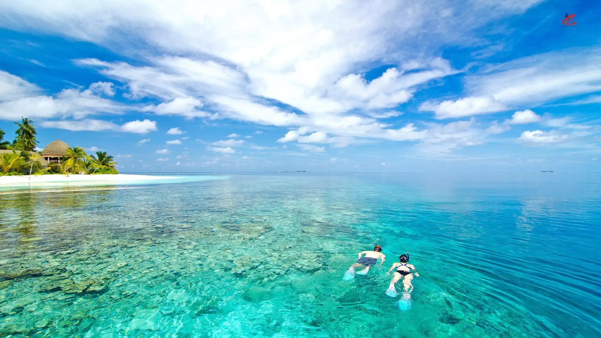 Kandolhu Maldives Snorkeling 