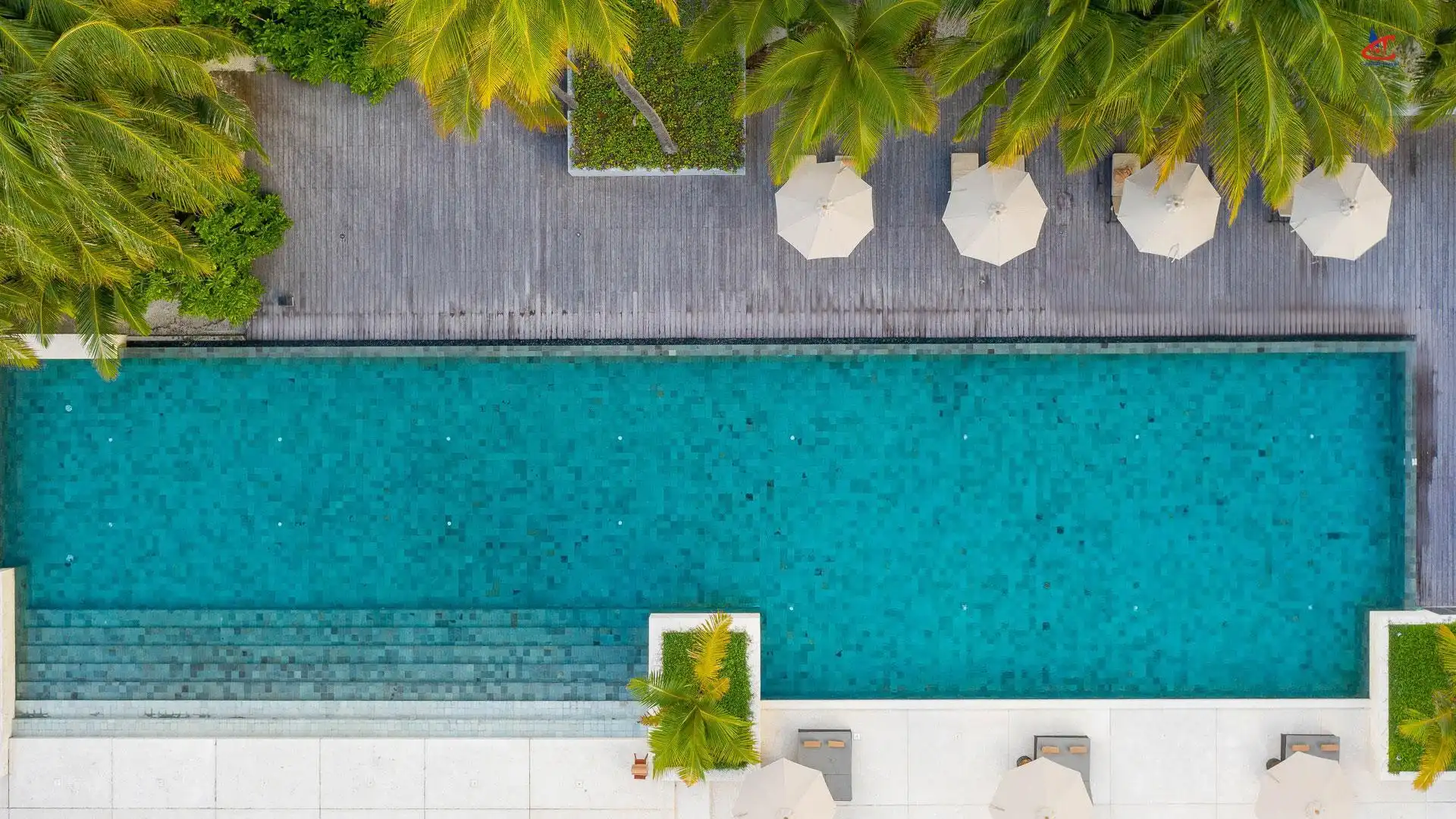Park Hyatt Maldives Hadahaa resort maldives pool