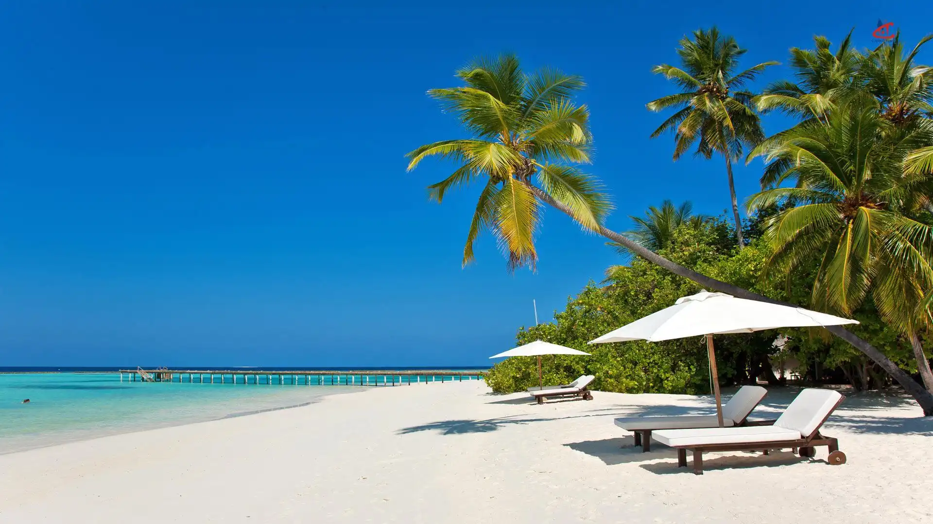 Vakarufalhi Maldives resort maldives pool