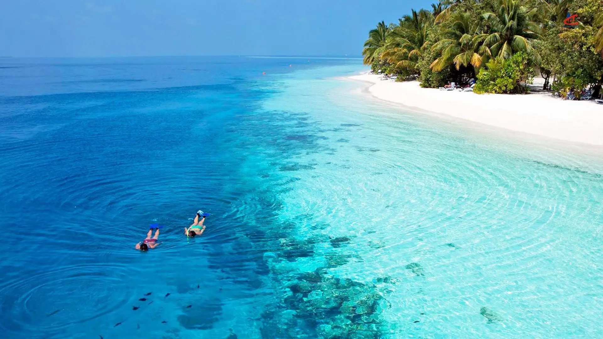 Vilamendhoo Island Resort & Spa Maldives Snorkeling 